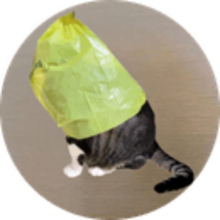 Catwifbag community avatar